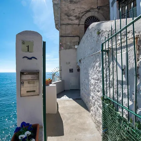 Il Nido Del Gabbiano * Minori